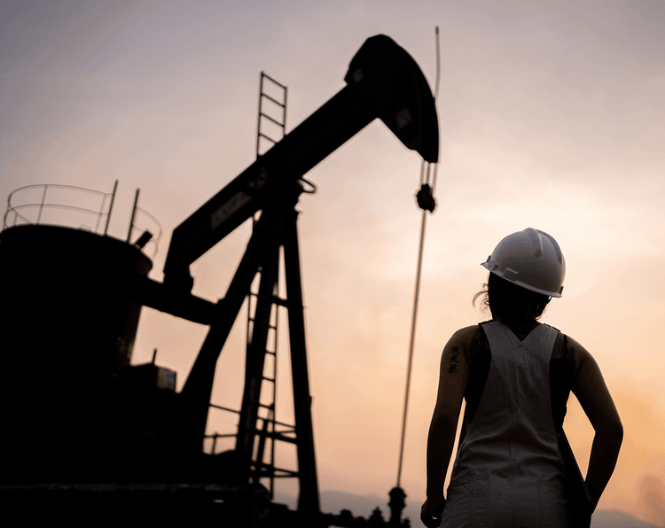 Artificial Lift Systems